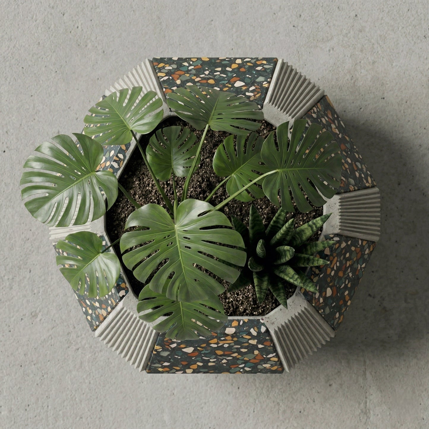 top view geometric terrazzo concrete planter with indoor plants modern minimalist home decor planter