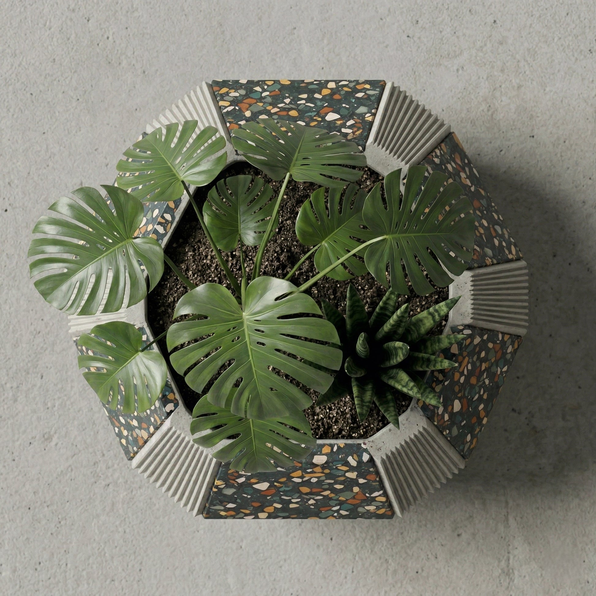 top view geometric terrazzo concrete planter with indoor plants modern minimalist home decor planter